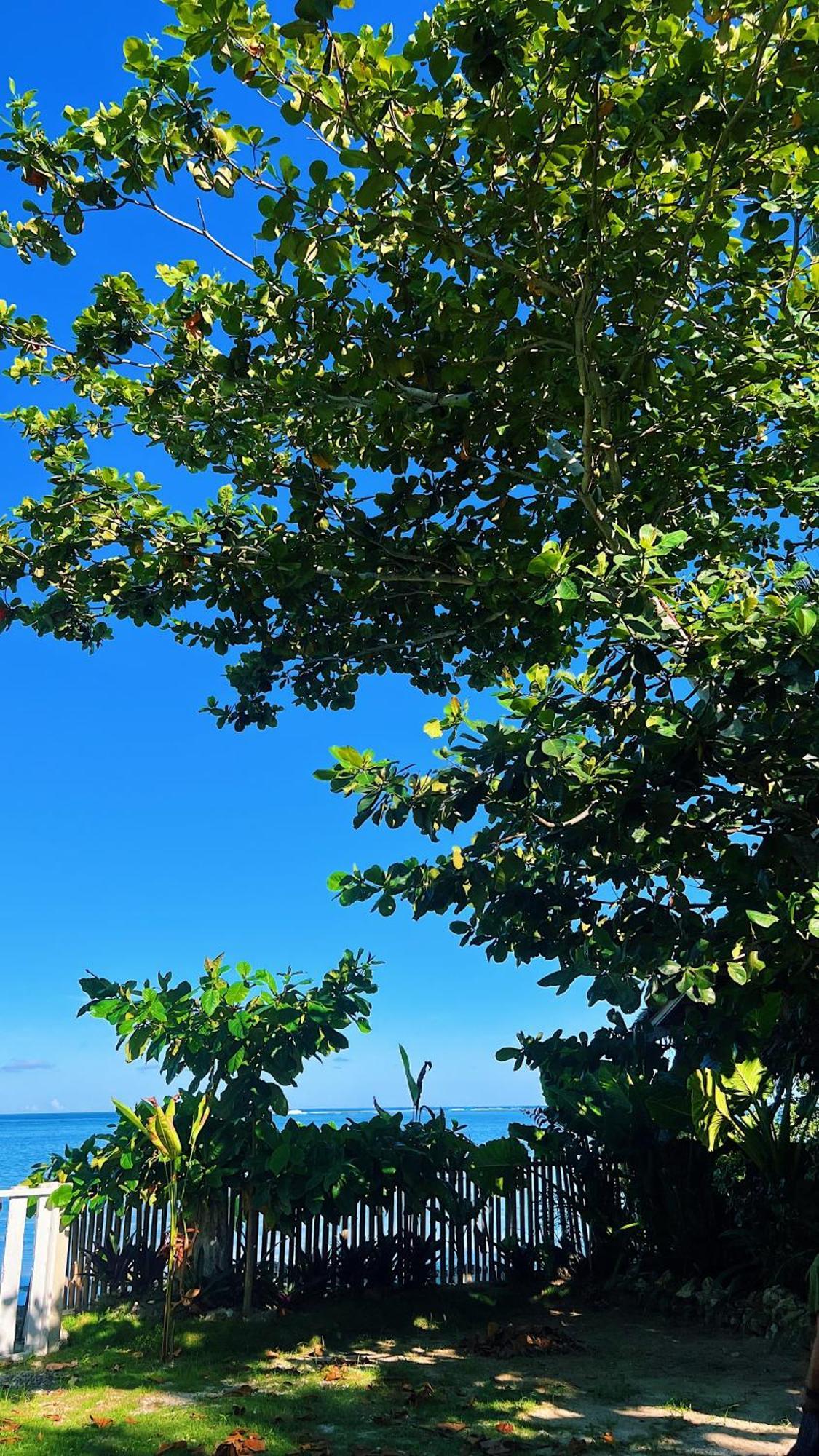 Happiness Beach Resort Siargao General Luna  Kültér fotó